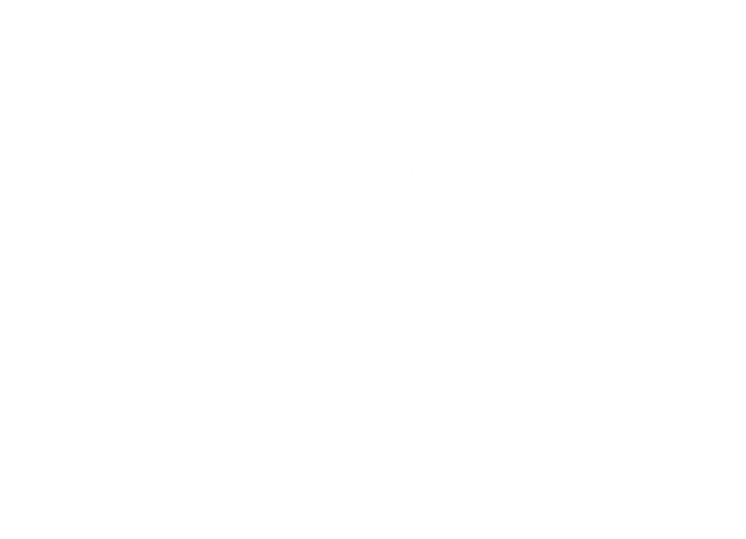 Parti Wawasan Negara